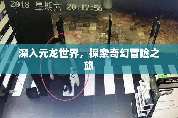 深入元龙世界，探索奇幻冒险之旅