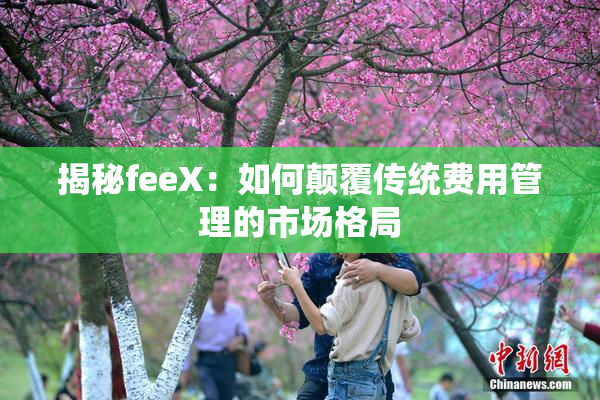 揭秘feeX：如何颠覆传统费用管理的市场格局