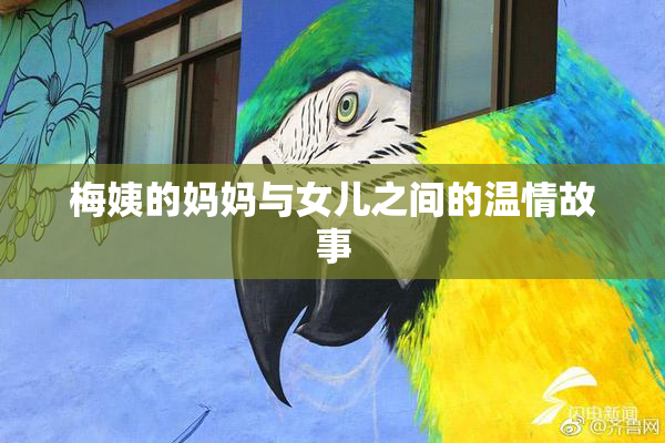 梅姨的妈妈与女儿之间的温情故事