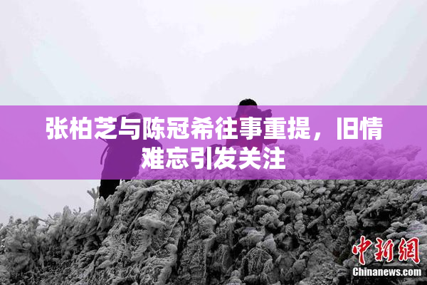 张柏芝与陈冠希往事重提，旧情难忘引发关注