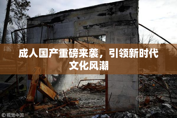 成人国产重磅来袭，引领新时代文化风潮