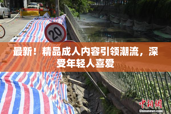 最新！精品成人内容引领潮流，深受年轻人喜爱