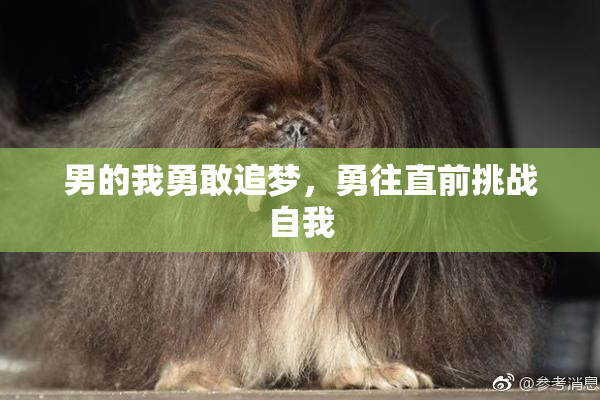 男的我勇敢追梦，勇往直前挑战自我