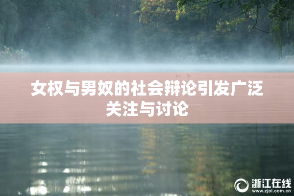 女权与男奴的社会辩论引发广泛关注与讨论