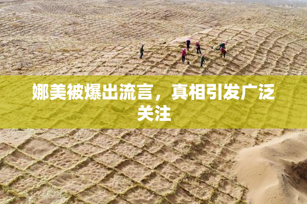娜美被爆出流言，真相引发广泛关注