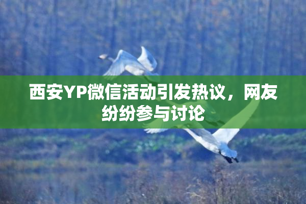 西安YP微信活动引发热议，网友纷纷参与讨论