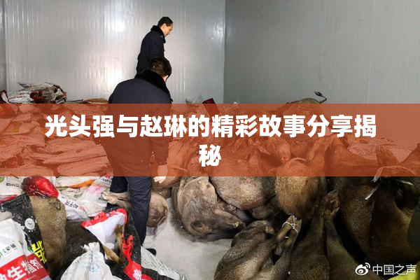 光头强与赵琳的精彩故事分享揭秘