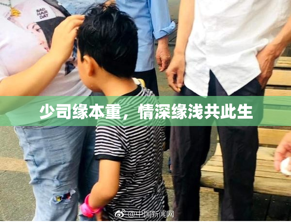 少司缘本重，情深缘浅共此生