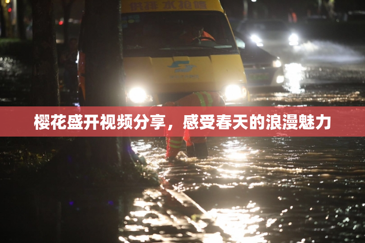 樱花盛开视频分享，感受春天的浪漫魅力