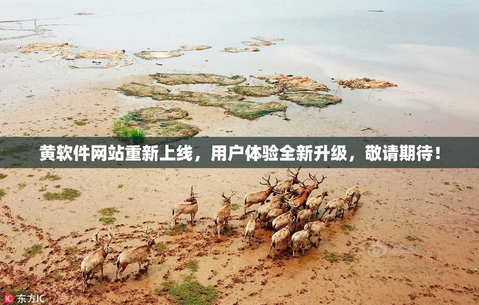 黄软件网站重新上线，用户体验全新升级，敬请期待！