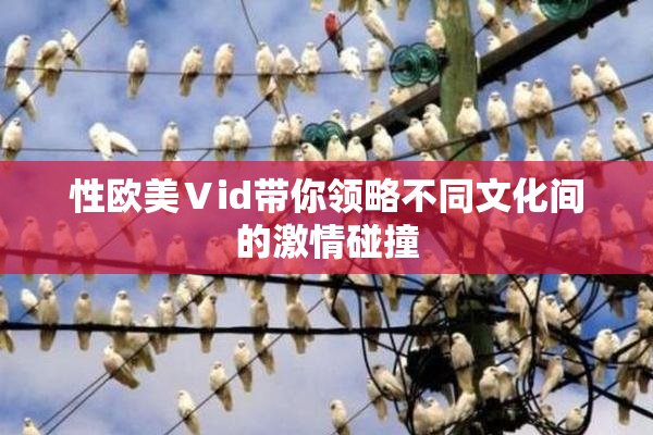 性欧美Ⅴid带你领略不同文化间的激情碰撞