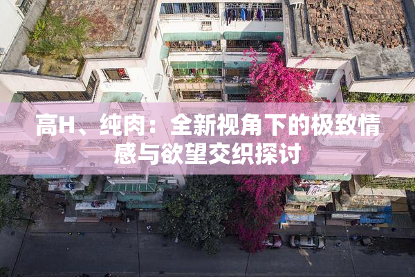 高H、纯肉：全新视角下的极致情感与欲望交织探讨