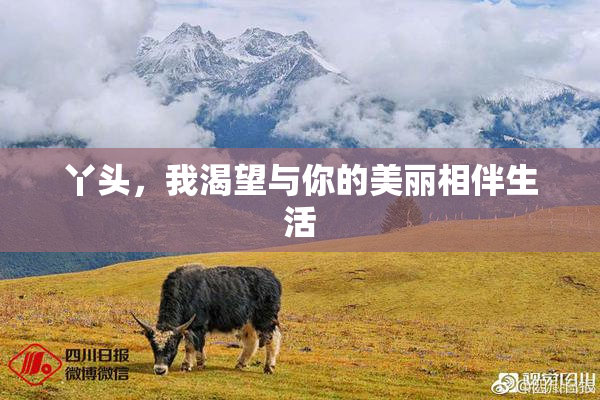 丫头，我渴望与你的美丽相伴生活