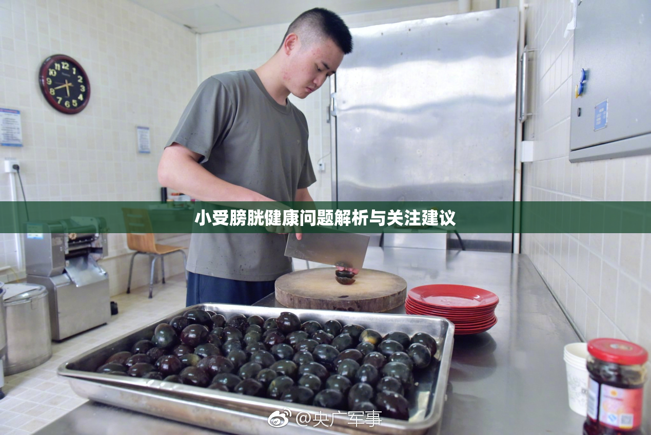 小受膀胱健康问题解析与关注建议