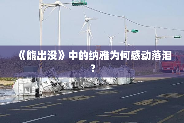 《熊出没》中的纳雅为何感动落泪？