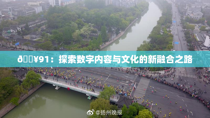 🔥91：探索数字内容与文化的新融合之路