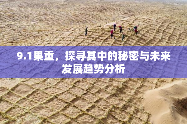 9.1果重，探寻其中的秘密与未来发展趋势分析