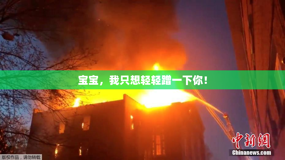 宝宝，我只想轻轻蹭一下你！