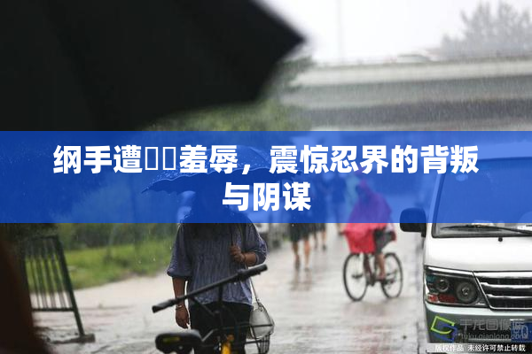 纲手遭❌‌羞辱，震惊忍界的背叛与阴谋