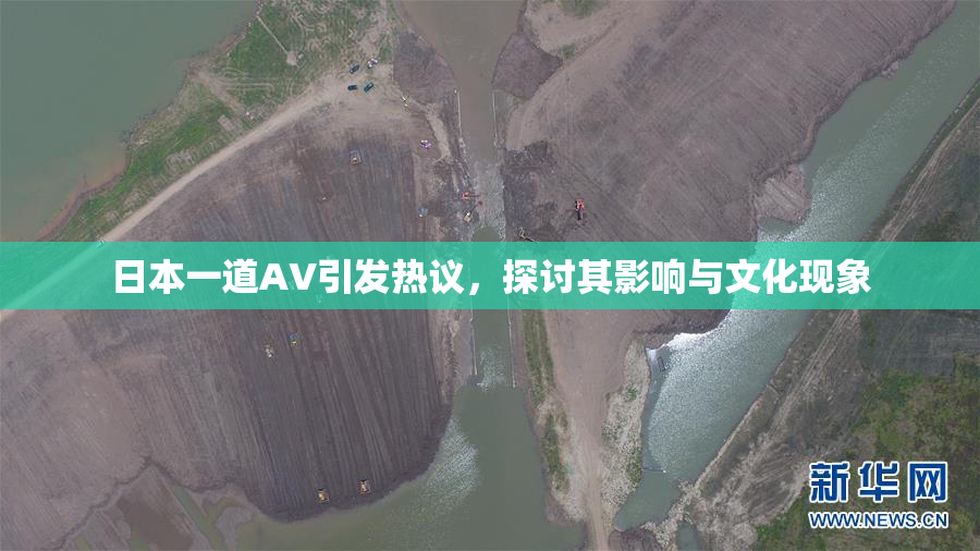 日本一道AV引发热议，探讨其影响与文化现象