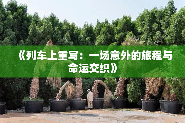 《列车上重写：一场意外的旅程与命运交织》