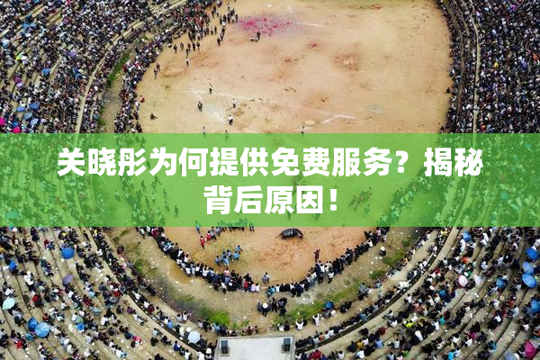 关晓彤为何提供免费服务？揭秘背后原因！
