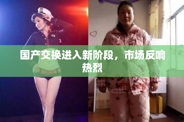 国产交换进入新阶段，市场反响热烈