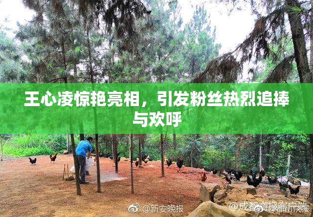王心凌惊艳亮相，引发粉丝热烈追捧与欢呼