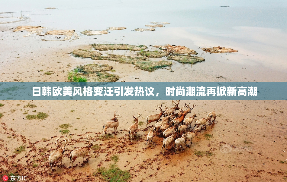 日韩欧美风格变迁引发热议，时尚潮流再掀新高潮