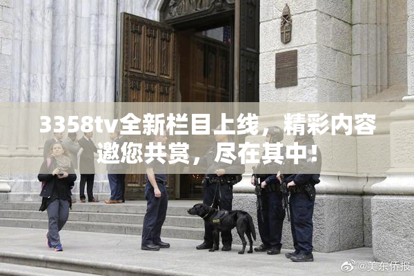 3358tv全新栏目上线，精彩内容邀您共赏，尽在其中！