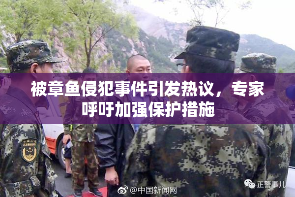 被章鱼侵犯事件引发热议，专家呼吁加强保护措施