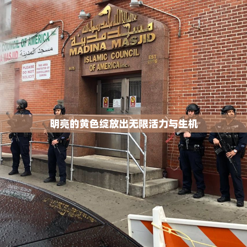 明亮的黄色绽放出无限活力与生机