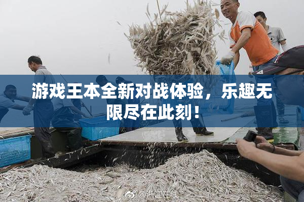 游戏王本全新对战体验，乐趣无限尽在此刻！