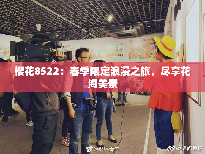樱花8522：春季限定浪漫之旅，尽享花海美景