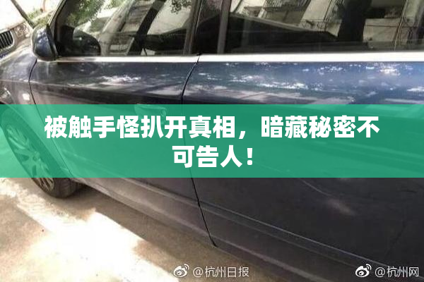 被触手怪扒开真相，暗藏秘密不可告人！