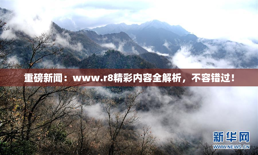 重磅新闻：www.r8精彩内容全解析，不容错过！