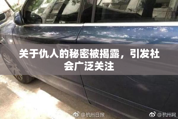 关于仇人的秘密被揭露，引发社会广泛关注