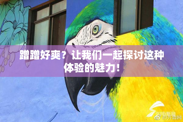 蹭蹭好爽？让我们一起探讨这种体验的魅力！