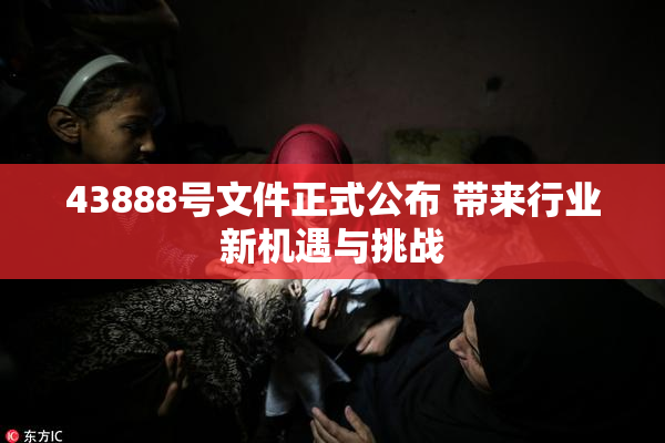 43888号文件正式公布 带来行业新机遇与挑战