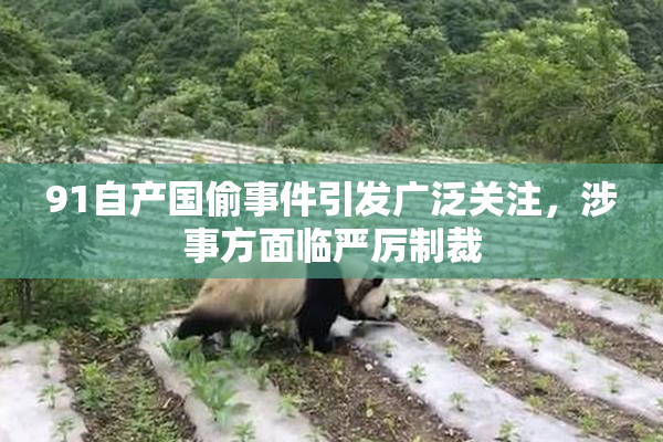91自产国偷事件引发广泛关注，涉事方面临严厉制裁