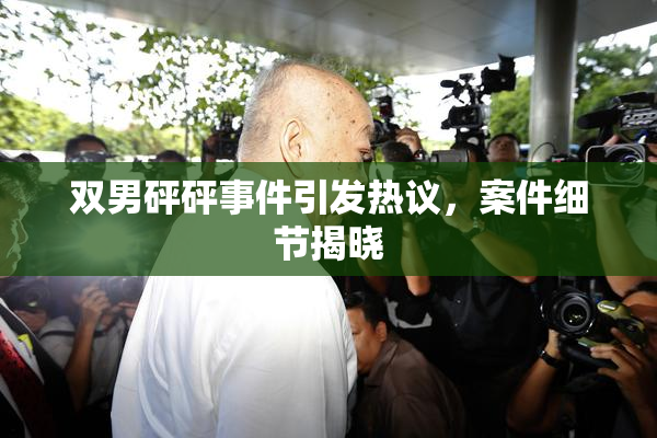 双男砰砰事件引发热议，案件细节揭晓