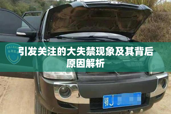 引发关注的大失禁现象及其背后原因解析
