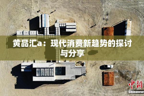黄品汇a：现代消费新趋势的探讨与分享