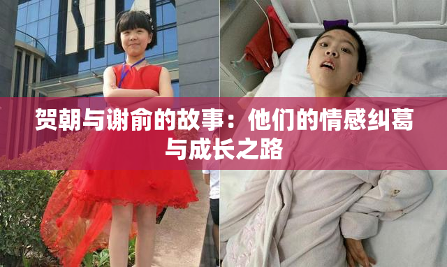 贺朝与谢俞的故事：他们的情感纠葛与成长之路