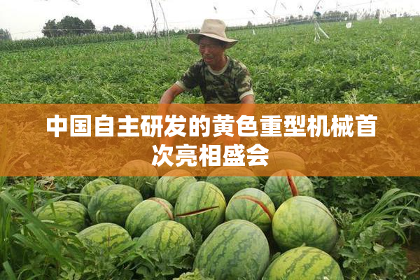 中国自主研发的黄色重型机械首次亮相盛会