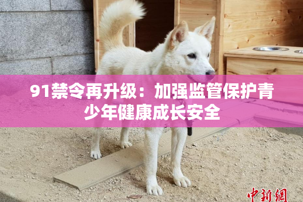 91禁令再升级：加强监管保护青少年健康成长安全