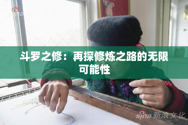 斗罗之修：再探修炼之路的无限可能性