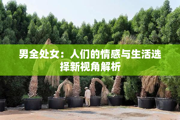 男全处女：人们的情感与生活选择新视角解析