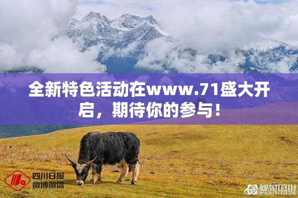 全新特色活动在www.71盛大开启，期待你的参与！