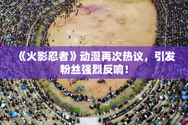 《火影忍者》动漫再次热议，引发粉丝强烈反响！